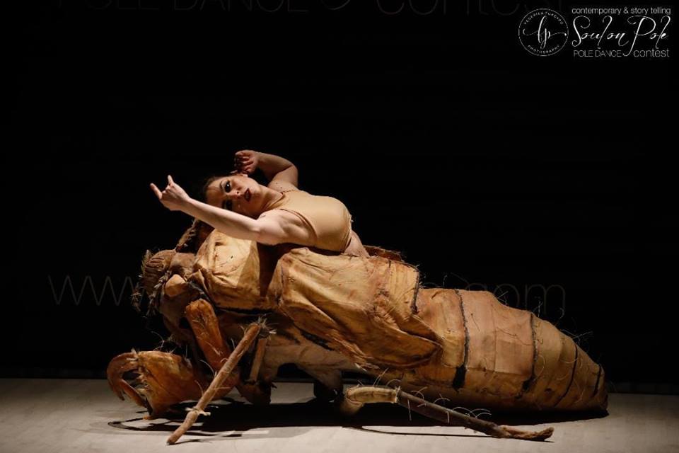 50728494_10217468366957640_4088632003333718016_n